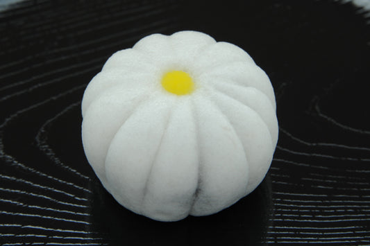 (1603)白菊（しらぎく）