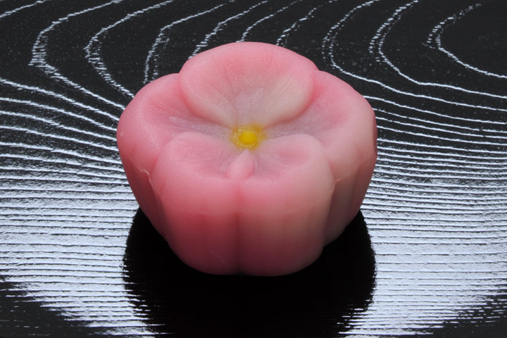 山茶花日和（さざんかびより）【平成27年】