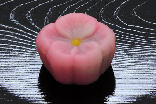 (1623)山茶花日和（さざんかびより）