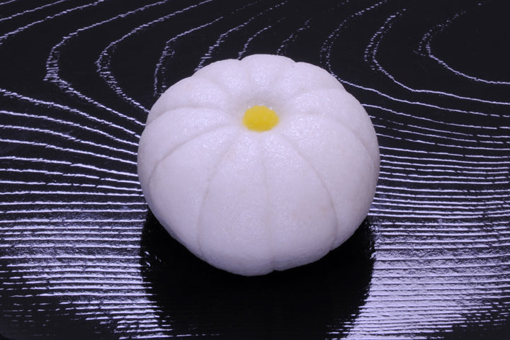白菊（しらぎく）【平成28年】