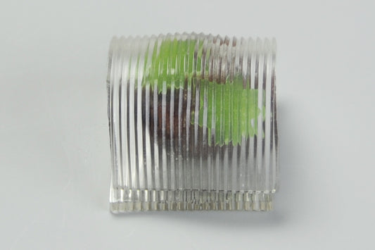 (2224)清流（せいりゅう）