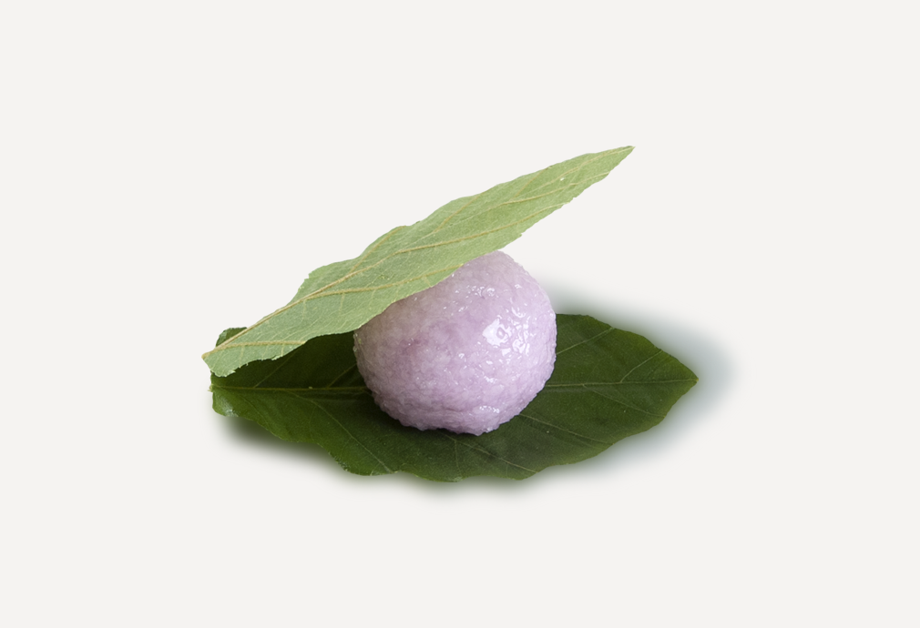 皐月糯