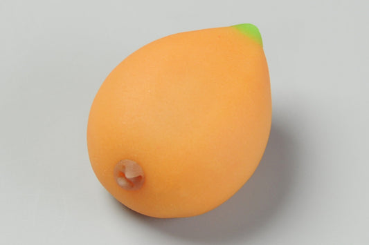 (2235)枇杷（びわ）