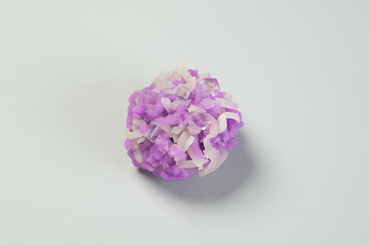 (2461)紫露草（むらさきつゆくさ）