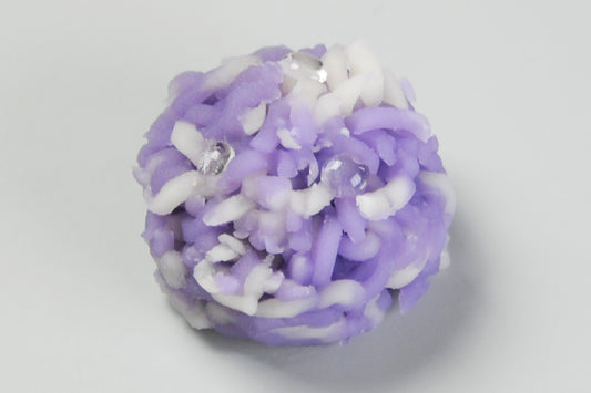 (2251)紫露草（むらさきつゆくさ）