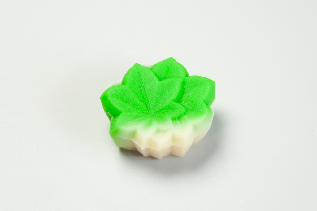 若楓(わかかえで)