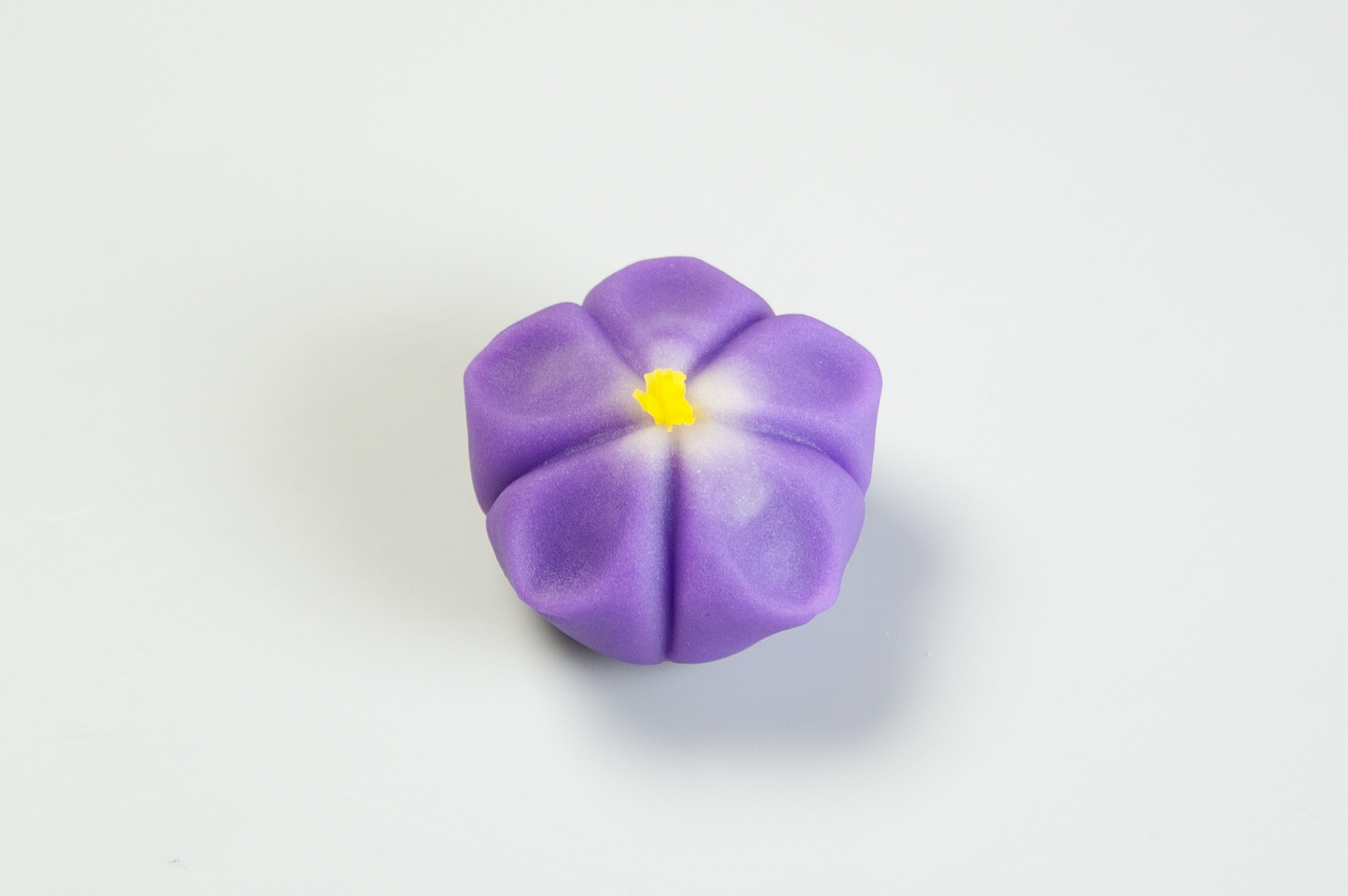 (2707)桔梗(ききょう)