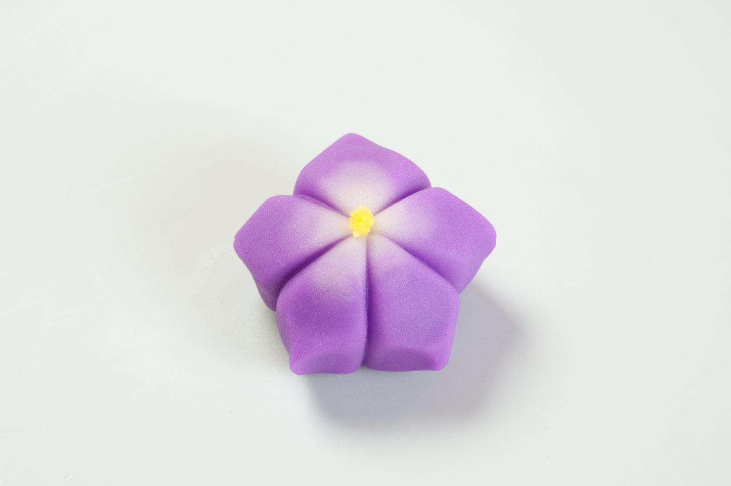 桔梗(ききょう)【令和６年】