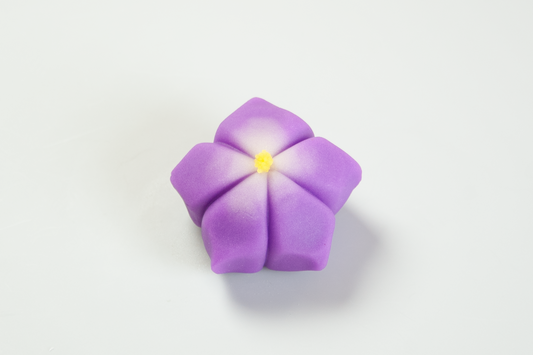 桔梗(ききょう)【令和６年】