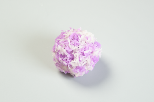 (2623)桔梗(ききょう)