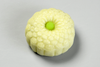 野菊（のぎく）【令和4年】