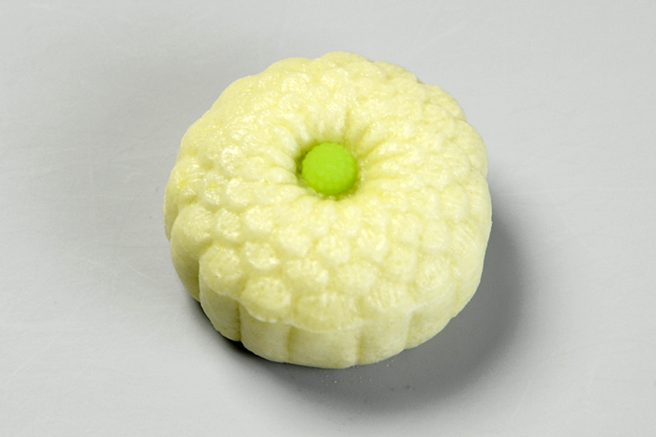 野菊（のぎく）【令和4年】