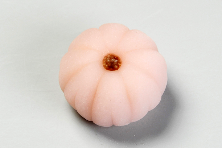 (2266)秋桜（こすもす）