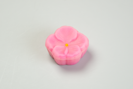 (2517)山茶花（さざんか）