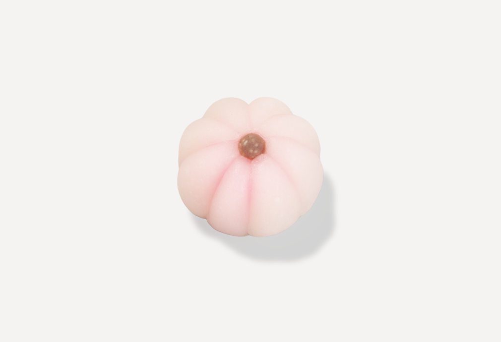秋桜(こすもす)【令和8年】