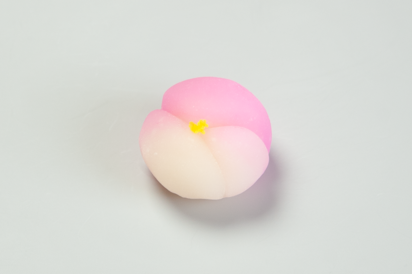 山茶花(さざんか)