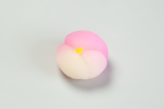 山茶花(さざんか)