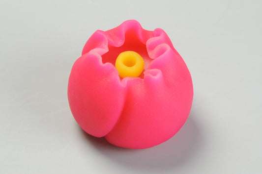 (2340)寒椿（かんつばき）