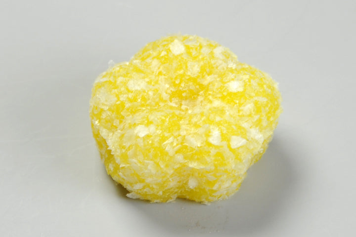 (2341)ろう梅（ろうばい）