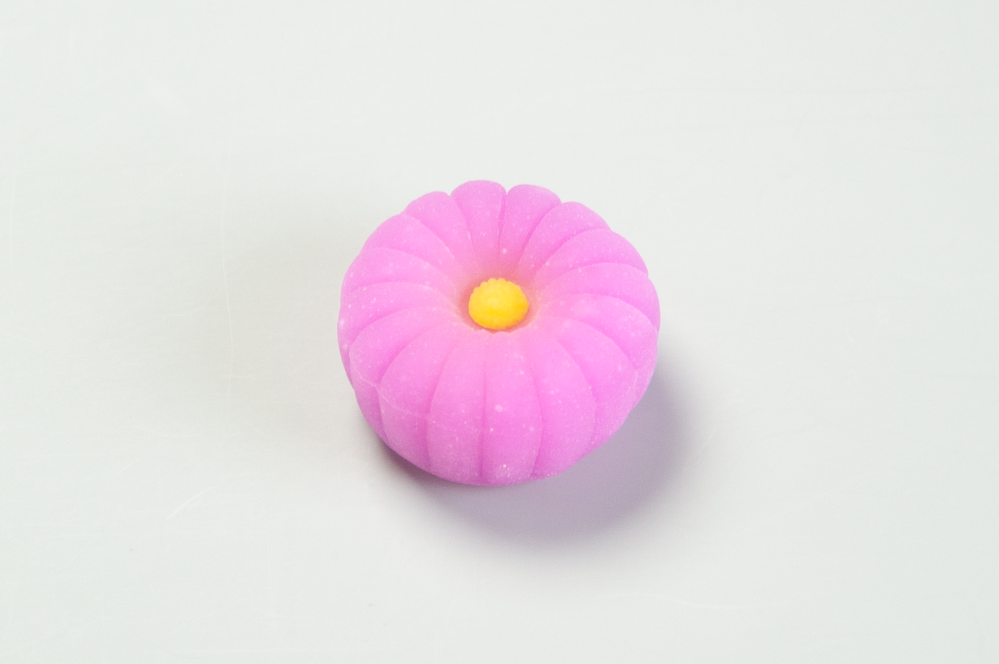 霜見草(しもみぐさ)