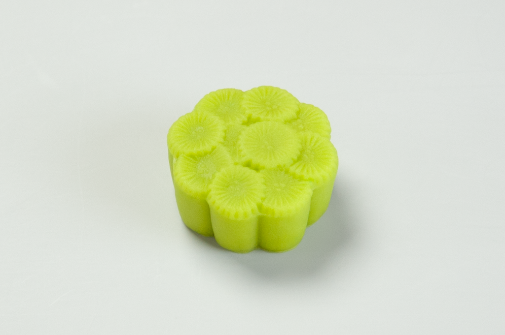 唐松(からまつ)【令和8年】