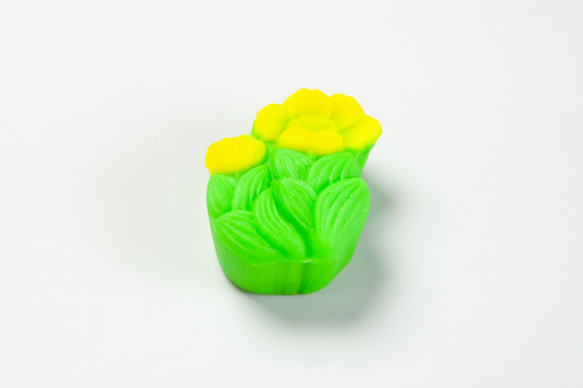 福寿草(ふくじゅそう)【令和8年】