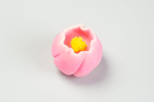 桃の花(もものはな)【令和8年】